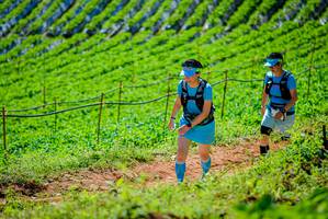 BIB: 
                            <button type="button" onclick="openModal(19163436)" class="btn btn-primary btn-sm float-right btn-popup" data-toggle="modal" data-target=".modal-high-quality">
                        <i class="fas fa-shopping-cart"></i> Add to Cart
                    </button>
                                            <button type="button" onclick="isThisMe(19163436, true)" class="btn btn-success btn-sm float-right btn-popup btn-isme hidden" data-toggle="tooltip" data-placement="bottom" title="นี่คือรูปของคุณใช่ไหม คลิกที่นี่เพื่อเอาเข้าอัลบั้ม">
                        <i class="fas fa-plus"></i> Add to album
                    </button>
                    <button type="button" onclick="isThisMe(19163436, false)" class="btn btn-warning btn-sm float-right btn-popup btn-isnotme hidden">
                        <i class="fas fa-ban"></i> Remove from album
                    </button>